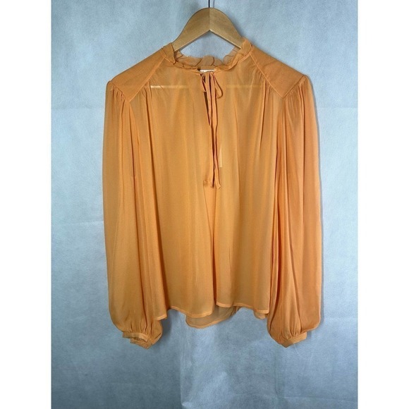 Joie The Jindrah Silk Long Sleeve Sheer Top Buckskin Size Medium - Picture 6 of 13